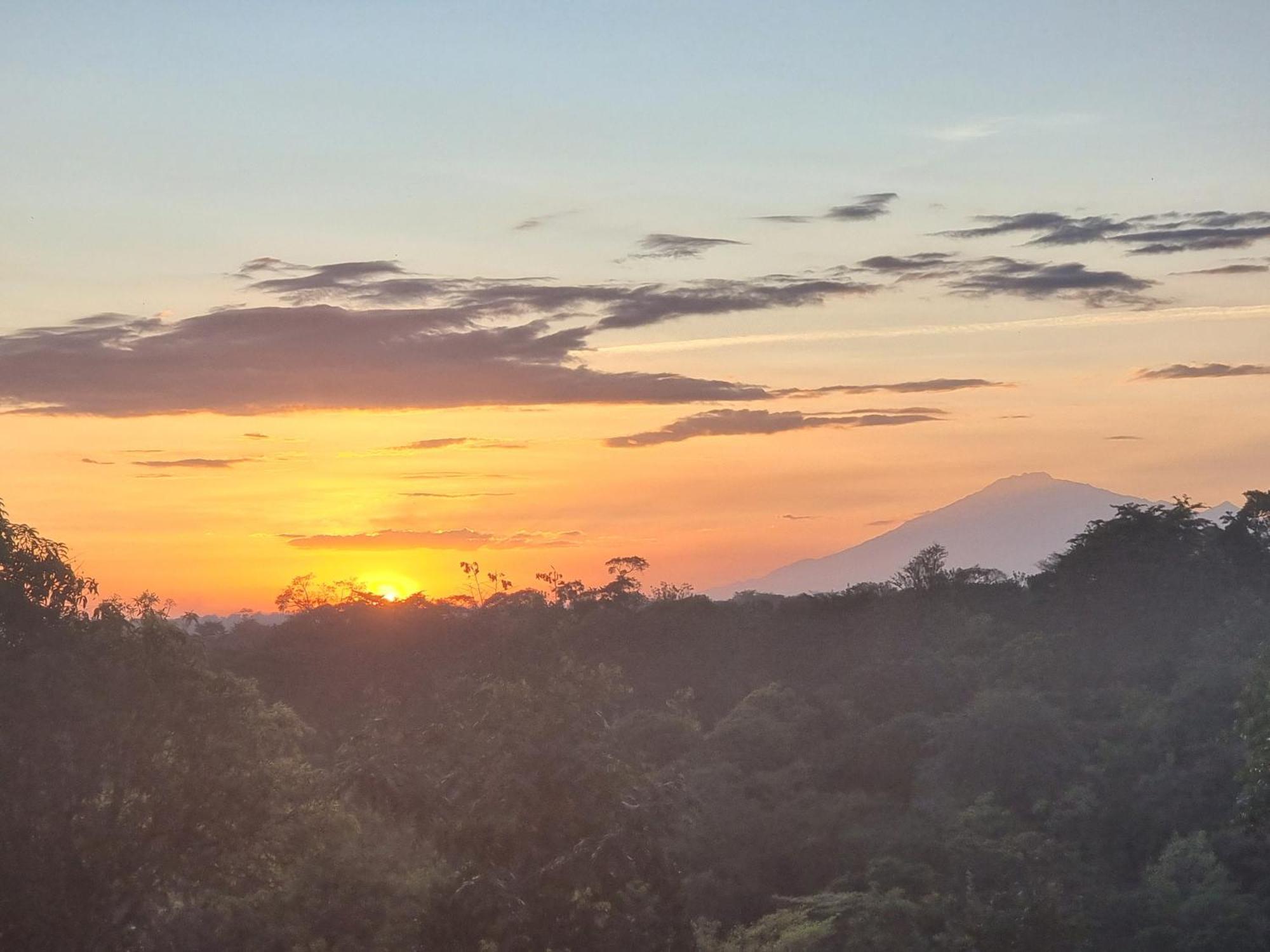 Kisanga Homestay Moshi Rum bild
